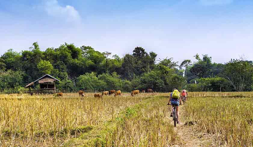 Cycling through the Laos countryside Cycling through the Laos countryside