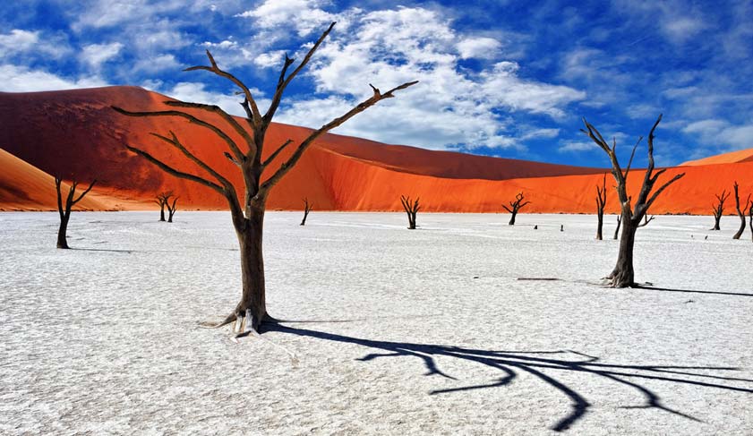 Dead Camelthorn Trees against red dunes and blue sky in Deadvlei, Sossusvlei. Dead Camelthorn Trees against red dunes and blue sky in Deadvlei, Sossusvlei.