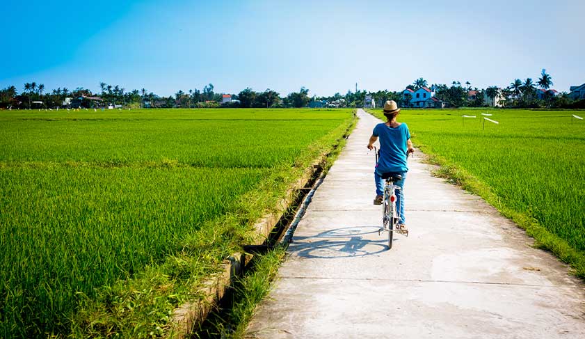 Cycling through the rice paddies in Hoi An, Vietnam 