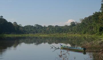A lake within the Amazon Jungle, Peru