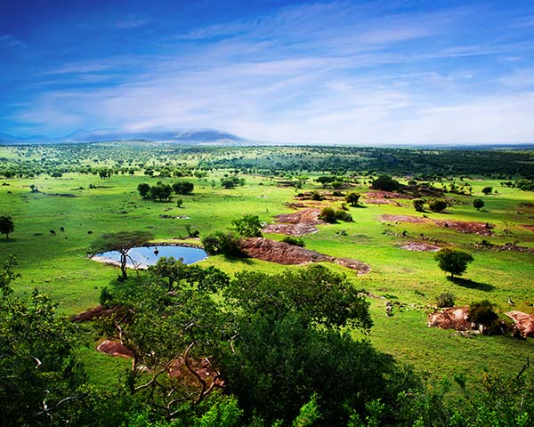 view of plains at the serengeti tanzania africa