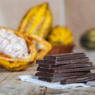 Explore on a holiday tour Ecuador during the Salon de Chocolate festival and taste some of the most amazing chocolate on the planet